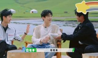 魏大勋画了大勋花