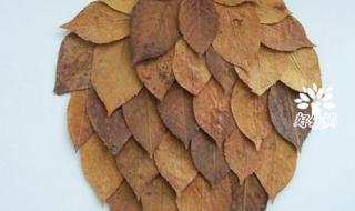 树叶画的简单做法