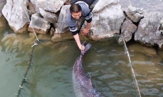 三峡水库在哪个省