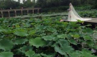 植物园门票多少钱