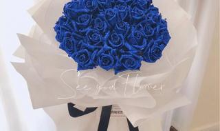 一万朵玫瑰 一万朵玫瑰