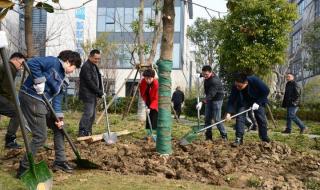 我和春天有个约会40 我和春天有个约会40