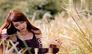 我的眼泪为谁飞歌词