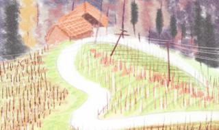 国际马拉松比赛时间