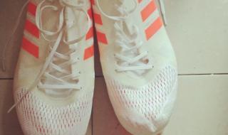 世界纪录800米男子